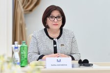 Спикер Милли Меджлиса обсудила с румынским коллегой восстановление прав западных азербайджанцев (ФОТО)