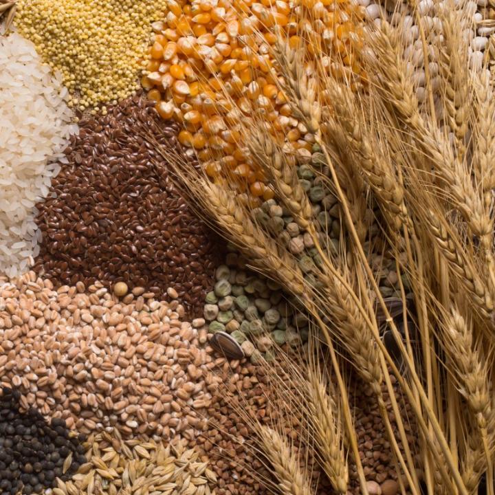 Kazakhstan's grain prices hike amid growing demand and market shifts
