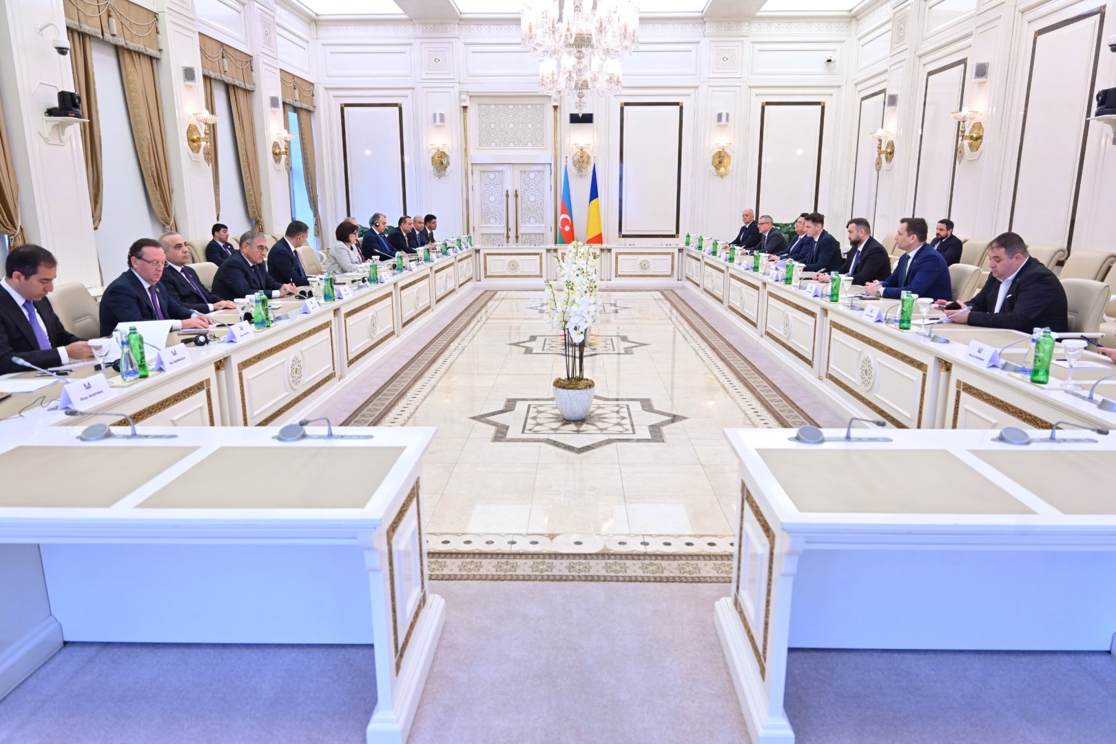 Спикер Милли Меджлиса обсудила с румынским коллегой восстановление прав западных азербайджанцев (ФОТО)