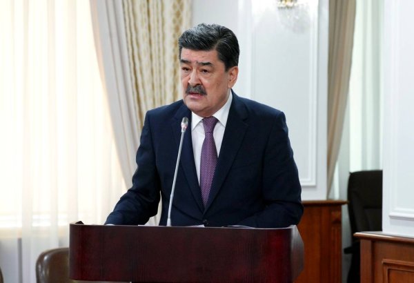 Kazakhstan launches multi-million dollar plan to to get its forestry units up to snuff