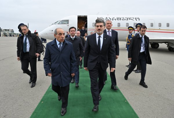 Georgian President arrives on official visit to Azerbaijan (PHOTO)