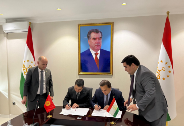 Kyrgyzstan, Tajikistan discuss launch of new flights