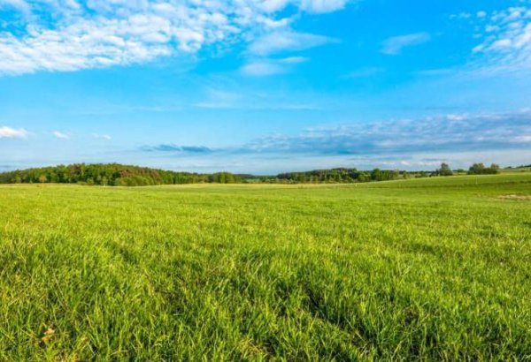 Agricultural production in Tajikistan's Penjikent grows