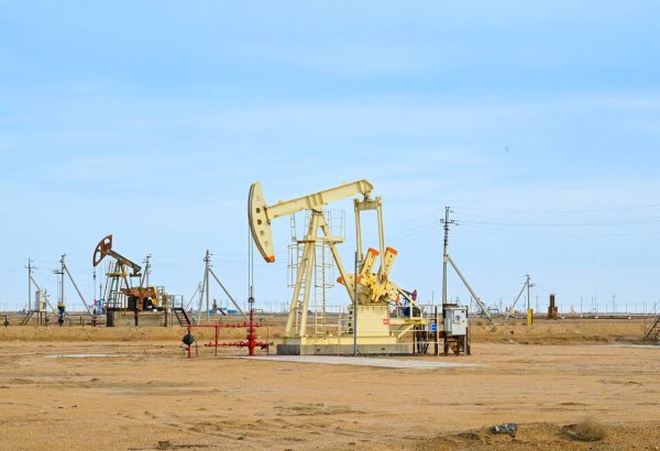 Глава казахстанского НПЗ о трудностях с вывозом нефтепродуктов (Эксклюзив)