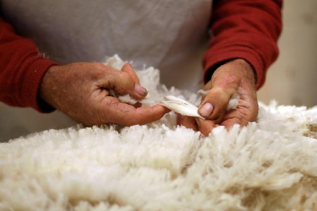 Kazakhstan removes export customs fees on hides and wool to address low domestic demand