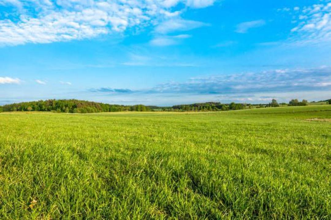 Kyrgyzstan achieves year-on-year growth in grain harvest