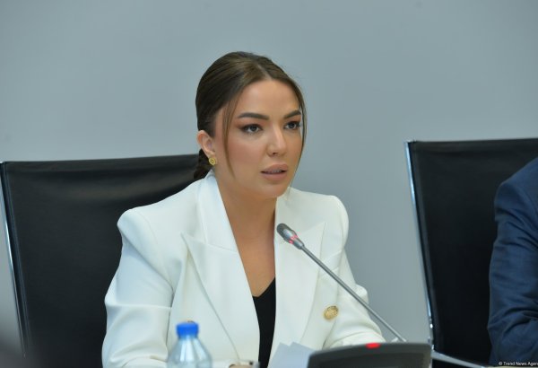 Azerbaijani official reveals Global South-related strategic plans