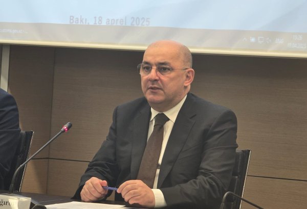 Необходимо усилить просветительскую работу по вопросу уплаты таможенных платежей - Шахин Багиров