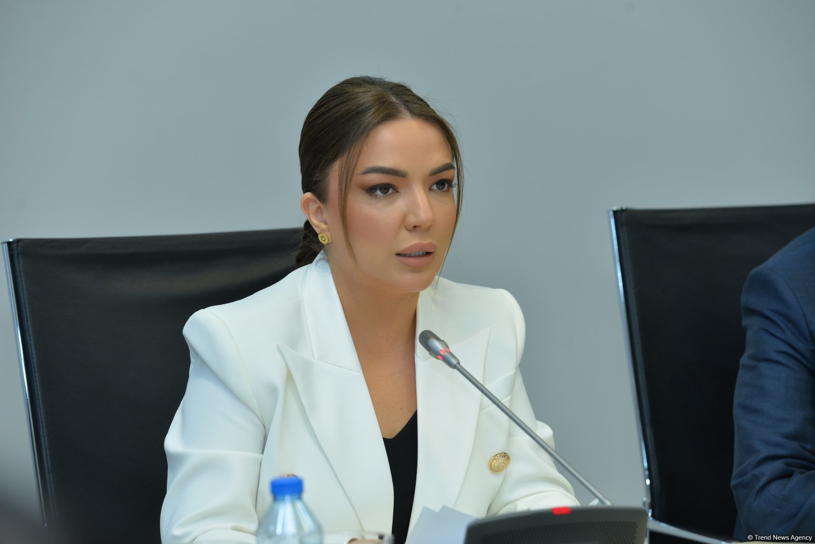 НПО Азербайджана установят новые связи с организациями из стран Глобального Юга - Айгюн Алиева