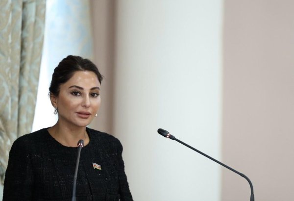 Амина Агазаде выступила на заседании МПА СНГ с докладом о проектах модельных законов (ФОТО/ВИДЕО)