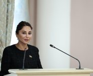 Амина Агазаде выступила на заседании МПА СНГ с докладом о проектах модельных законов (ФОТО/ВИДЕО)