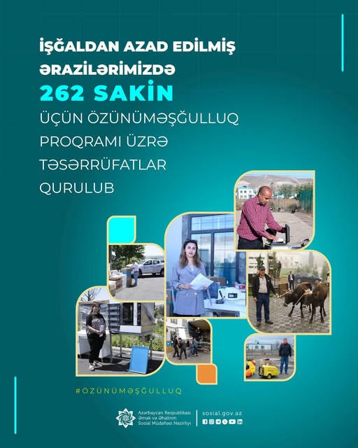 На освобожденных территориях Азербайджана для 266 жителей созданы малые хозяйства