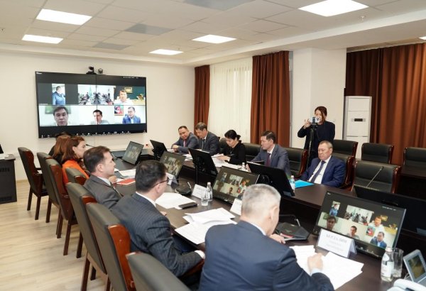 Kazakhstan sets ambitious goals for livestock subsidy reforms