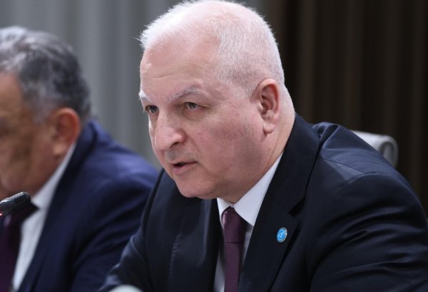 Тюркская академия реализует около 40 крупных и средних международных проектов - Шахин Мустафаев