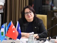 В Баку состоялась конференция на тему "Тюркский барометр 2024 - сотрудничество в сфере образования и науки в тюркских государствах: современные реалии и взгляд в будущее" (ФОТО)