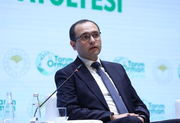 Azerbaijan actively benefits from Turkish agricultural experience - minister