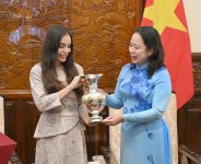 Вице-президент Фонда Гейдара Алиева Лейла Алиева встретилась с вице-президентом Вьетнама (ФОТО)