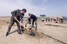ЗАО «AzerGold» провело мероприятия, посвященные Международному дню Земли (ФОТО)