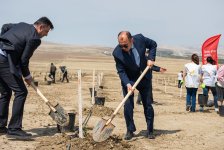 ЗАО «AzerGold» провело мероприятия, посвященные Международному дню Земли (ФОТО)