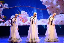 Успех азербайджанского танцевального искусства в Кыргызстане (ФОТО)