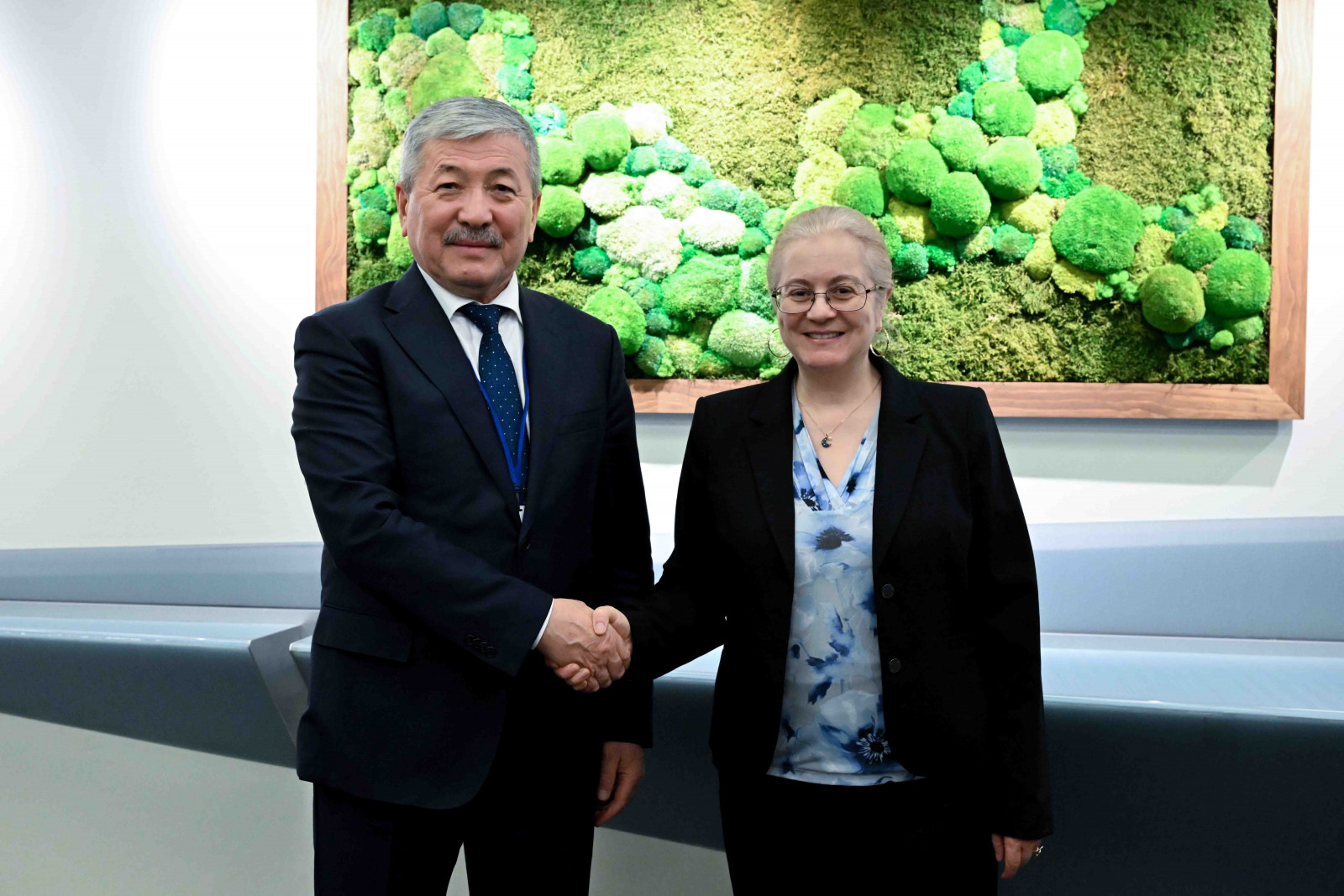 IFC expresses interest in backing renewables and water supply projects in Kyrgyzstan
