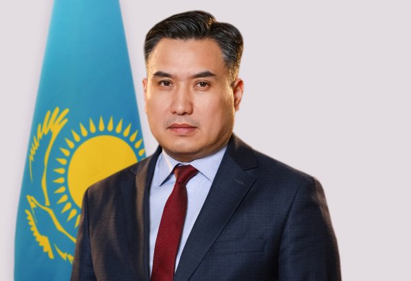 Kazakh deputy minister narrates about nation's goals over Almaty Process