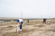 ВТБ (Азербайджан) поддержал экологическую инициативу: в поселке Мушвигабад высадили новый лес (ФОТО)