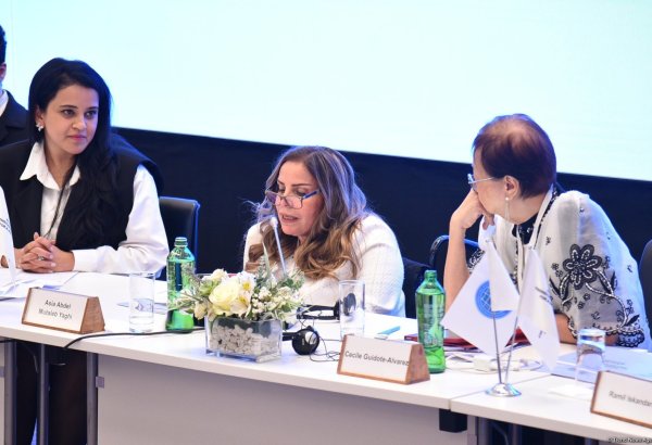 Jordanian senate official calls for inclusion of peoples with disabilities in NGOs