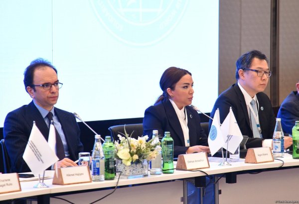 Azerbaijan's State Support Agency considers expanding grant programs for Global South NGOs