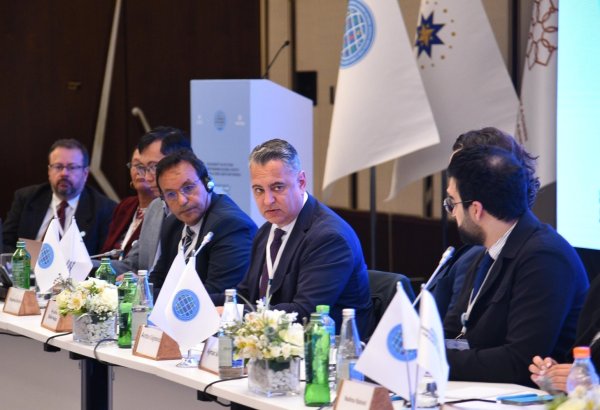 Global South NGO platform promises to catalyze progress towards SDGs - UN offcial