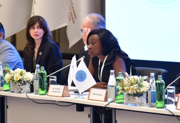 Smachs Foundation's patron praises Azerbaijan's advocacy for Global South