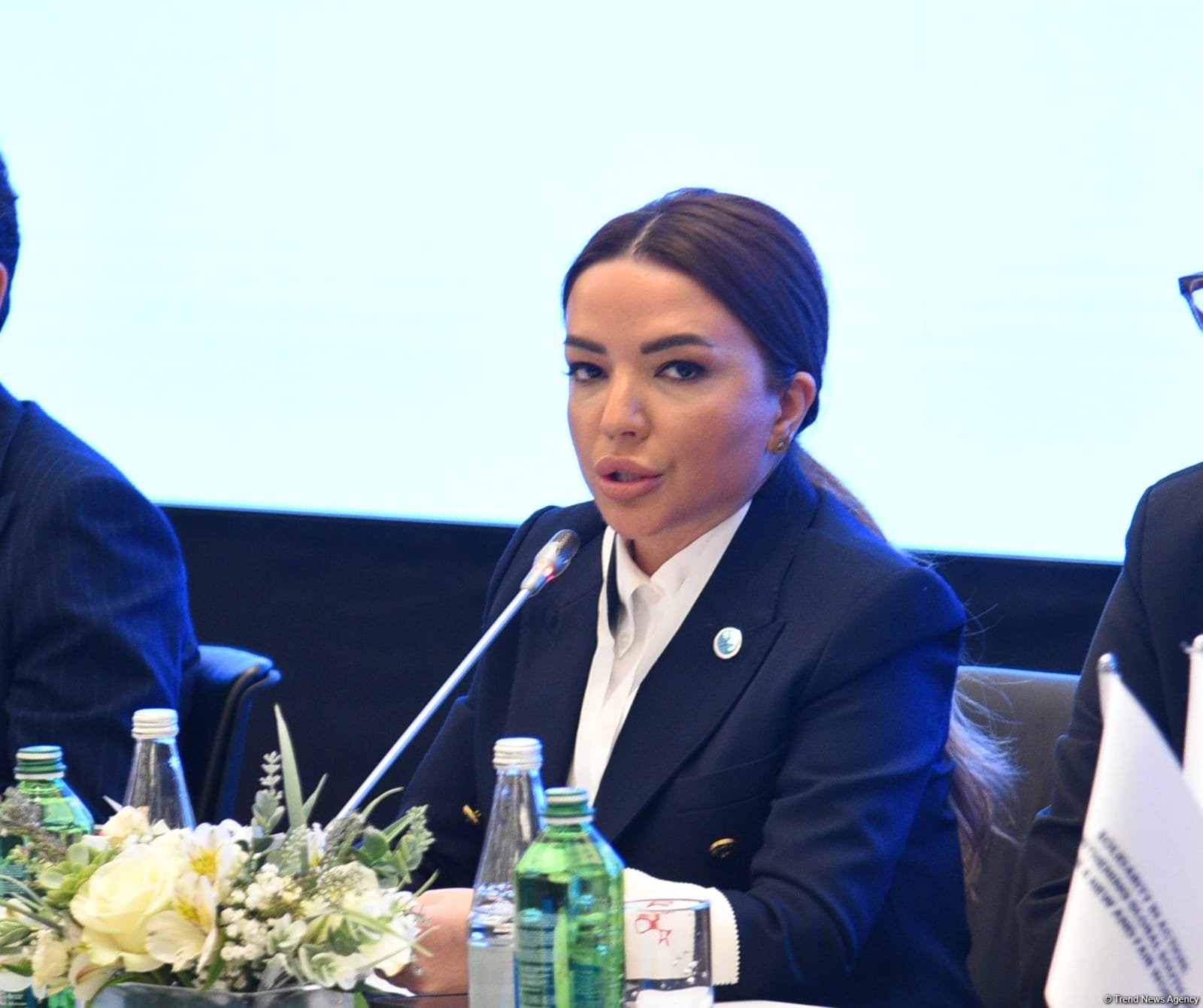 Azerbaijan's Agency for State Support to NGOs funds key Global South projects