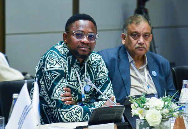 Nigerian activist urges boosting cooperation with D8 countries