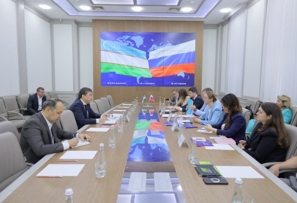 Uzbekistan, Russia explore joint investment and industrial co-op