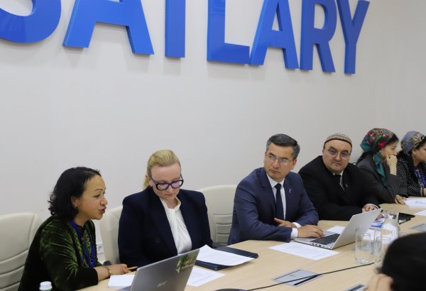 UNDP launches new energy efficiency project in Turkmenistan's construction sector