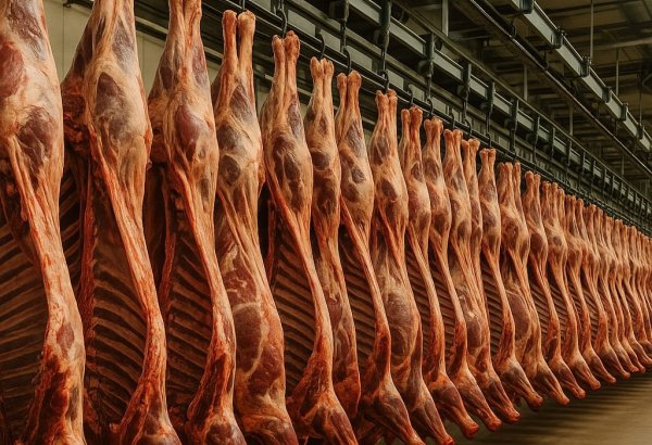 Назван объем импорта мяса в Азербайджан в январе-апреле 2025 г.