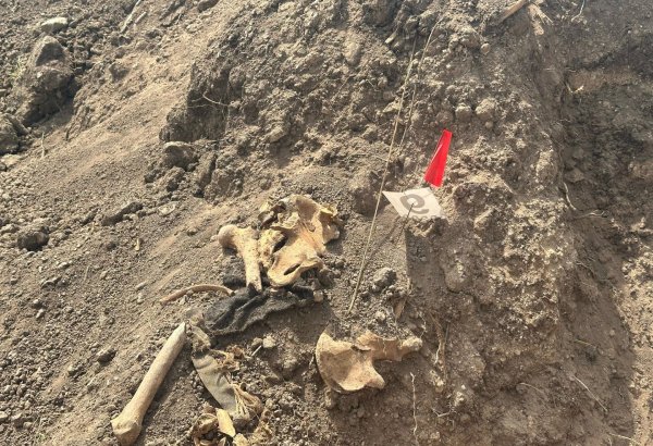 В Ходжалы обнаружено еще одно массовое захоронение (ФОТО)