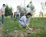 Компания McDonald’s Azərbaycan организовала экологическую акцию по посадке деревьев в Сумгайыте (ФОТО)