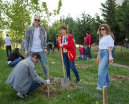 Компания McDonald’s Azərbaycan организовала экологическую акцию по посадке деревьев в Сумгайыте (ФОТО)