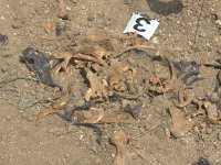 В Ходжалы обнаружено еще одно массовое захоронение (ФОТО)
