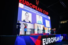 Украинская гимнастка завоевала 3 золотые медали на Кубке Европы по художественной гимнастике в Баку (ФОТО)