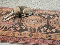 В старинной части Баку открылся Международный фестиваль ковра – путешествие в мир сказки (РЕПОРТАЖ, ФОТО)