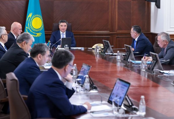 Kazakhstan lays out volume of unprocessed raw materials in its chemical exports