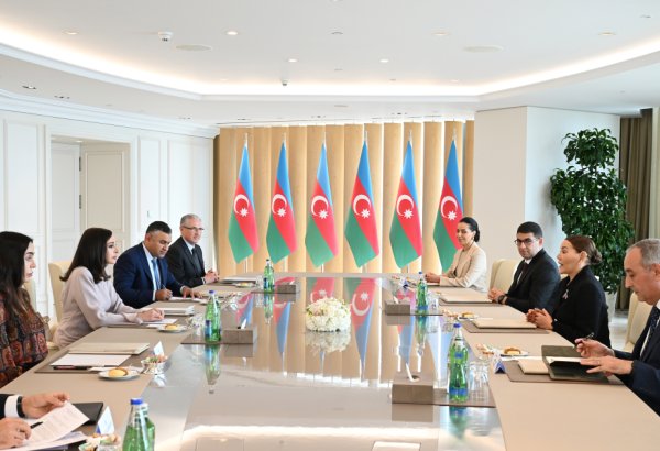 First VP Mehriban Aliyeva meets with Princess Lalla Hasnaa of Morocco (PHOTO/VIDEO)