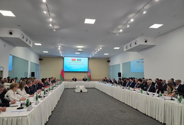 Azerbaijan, Belarus develop further cooperation in East Zangezur