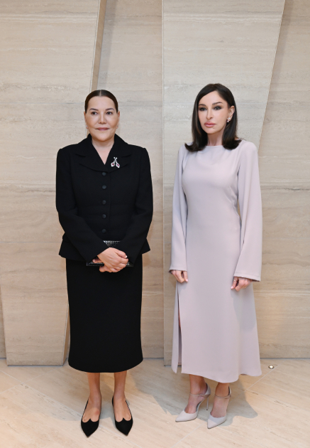 First VP Mehriban Aliyeva meets with Princess Lalla Hasnaa of Morocco (PHOTO/VIDEO)