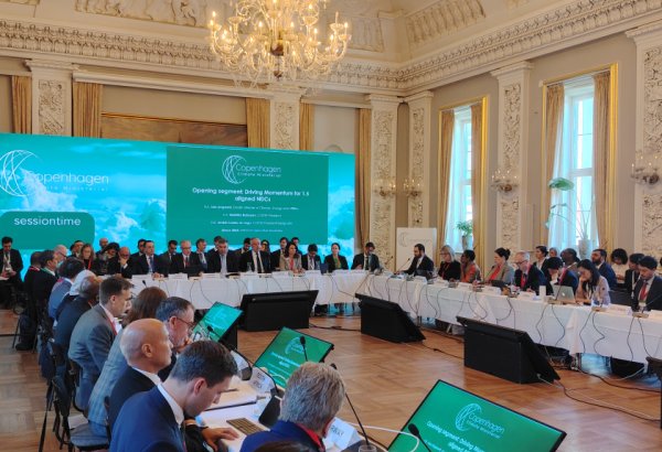 2025 год должен стать поворотным этапом для продвижения адаптации к изменению климата - Мухтар Бабаев