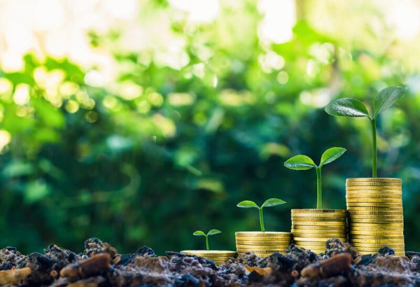 Uzbekistan’s foreign business landscape hits peak growth in May 2025