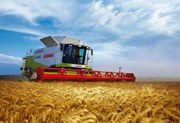 Kazakhstan’s Turkestan sparks agri-transformation with bold new initiatives