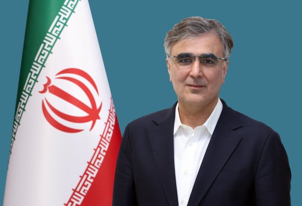 Central Bank of Iran renames national currency